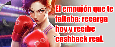 Express VIP Rebate